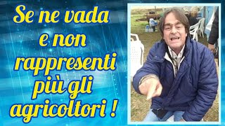 Un Danilo Calvani senza freni contro il Ministro Lollobrigida [upl. by Ynnaffit]