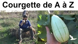 La Courgette de A à Z presque [upl. by Eninnej]