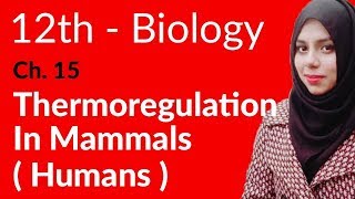 2nd Year Biology Ch 15  Thermoregulation In Mammals Humen  FSc Biology Book 2 [upl. by Avlasor]