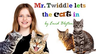 Read with Mira Mr Twiddle lets the cat inquot by Enid Blyton [upl. by Enialed]