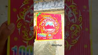 1000WaLa Diwali 2024🪔🧨 Standard Fireworks Magic Crackers 🪄 Sivakasi [upl. by Seroka]