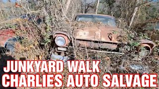 JUNKYARD WALK IN GALLIPOLIS OHIO junkcarwilly junkyard [upl. by Ursala791]