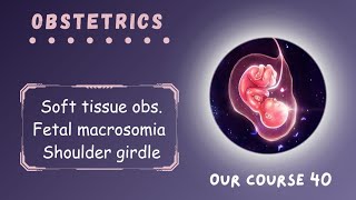 Rev Soft tissue obs  Fetal macrosomia amp Shoulder dystocia  Page 220  224  Obstetrics Module 40 [upl. by Anaihs]