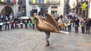 Àliga de Girona  Matinades 2016 [upl. by Orpheus]