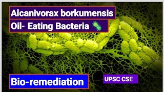 Alcanivorax Borkumensis OilEating Bacteria 🦠 Bioremediation Env amp Ecology  UPSC CSE Prelim [upl. by Nessah636]