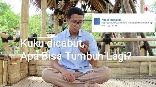 Kuku dicabut Apa Bisa Tumbuh Lagi  Health Talk 2 [upl. by Pederson906]