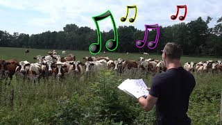 Live Burp Concert in Front of Cows [upl. by Noiztneb]