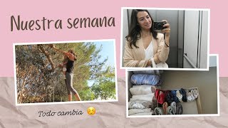 😙Adaptándonos buscando piñas y cambio de armario 👚👗🧥 LauraViveSimple [upl. by Eli]