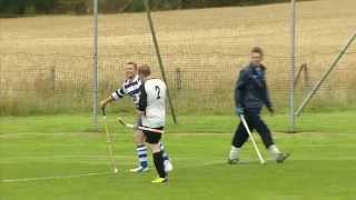 Shinty Rules Fouls [upl. by Tolland668]