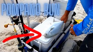 Spring Pompano RUN How to catch Pompano Surf Fishing Florida Panhandle Pensacola Fishing [upl. by Wesa]