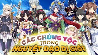 Toàn tập những điều thú vị về các chủng tộc trong Anime Nguyệt Đạo Dị Giới [upl. by Nreval]