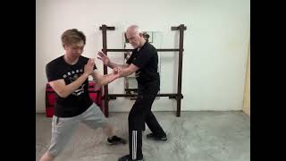 ‘WSL Ving Tsun Kuen Hok’  breaking it down 61  the ‘Siu Nim Tau’ form in detail Pt 25 [upl. by Hollington]