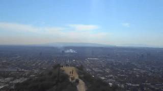 LA street life unleashed LAncashire heeler and chuggle runyon canyon nov2015 street fire [upl. by Ella578]