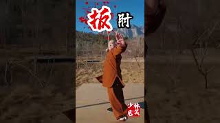 Shaolin Jianxiao Combat Demo Classic CloseCombat Kung Fu Techniques kungfu [upl. by Llemij]