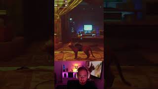 Ein laufender Hut 🤦‍♂️🤦‍♂️ straycat letsplay deutsch germangaming funnymoments gamefunny [upl. by Aneerahs405]