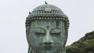 WATCH Buddha statues at Horyuji Temple in Japan receive annual cleaning [upl. by Clie]