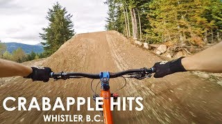 The Biggest Jumps at Whistler Bike Park  Crabapple Hits amp Aline 2016  Jordan Boostmaster [upl. by Maryrose633]