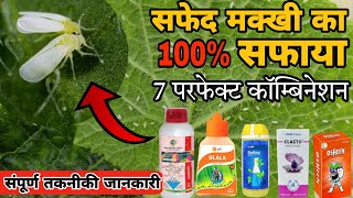 Whitefly Control top 7 best insecticide combinations सफेद मक्खी का 100 सफाया white fly control [upl. by Adnuhsal]