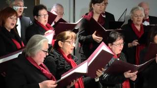 Sloveens Acapella Koor SLOMSEK [upl. by Lukey]