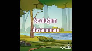 sevduğum [upl. by Soutor]