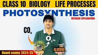 Detailed explanation of photosynthesis stomata deserts plants photosynthesis amp questions practice [upl. by Shena243]