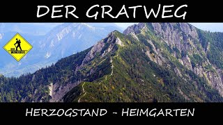 GRATWEG ÜBERSCHREITUNG MIT GRANDIOSEN AUSSICHTEN – ALPEN BERGWANDERUNG HERZOGSTAND  HEIMGARTEN [upl. by Politi]