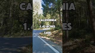 142 Acres for Sale in Camptonville California for 45000 Owner finance is available shorts [upl. by Haraz]