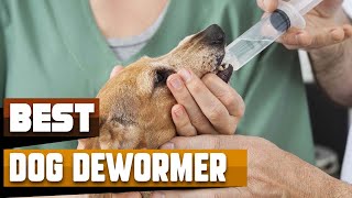 Dog Dewormer  Incredible Dog Dewormers In 2024 [upl. by Asiled92]