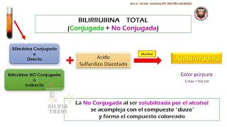 DETERMINACIÓN DE BILIRRUBINA SÉRICA [upl. by Sukcirdor800]