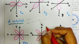 Shapes of atomic orbitals  pdf   Quantum mechanical model of atom  Class 11 Chemistry  Tamil [upl. by Salomi]