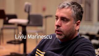 Liviu Marinescu Harmonic Fields and Nimbus Ensemble [upl. by Nyahs]