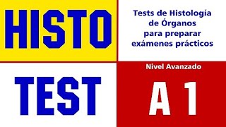 HISTO TEST A1 [upl. by Igig]