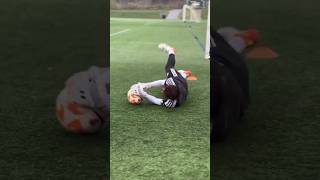 Goalkeeper Training ONEGKTRAINING goalkeeper goalkeepertraining goalkeepers [upl. by Sibell]