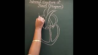 Diagram of heartstructurescience10th gradeeasy drawing [upl. by Gnep]