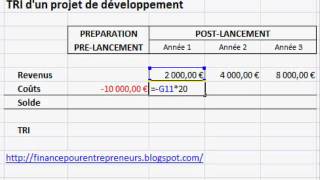 Taux de Rendement Interne TRI sur Excel [upl. by Aisaim]