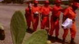 AMERICAN CHAIN GANG  DVD CLIP 2 WOMEN ON THE CHAIN GANG [upl. by Nonnahc372]