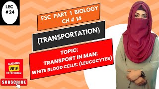 Ch14  Lec 24  TRANSPORT IN MAN White Blood Cells Leucocytes FSc Bio part 1riffatjahan [upl. by Ytnom913]