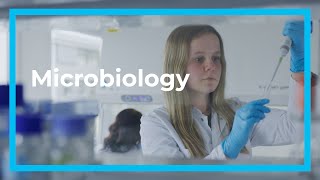 Microbiology and food safety – how we work [upl. by Weismann]