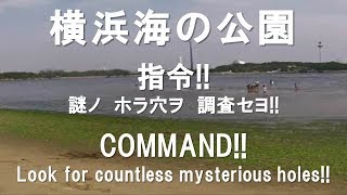 ヤビーポンプで生物を捕まえてみた 横浜海の公園 [upl. by Coulson]