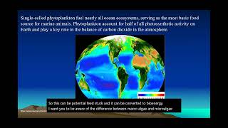 Biofuels from Algae Main Points Lecture [upl. by Flam151]