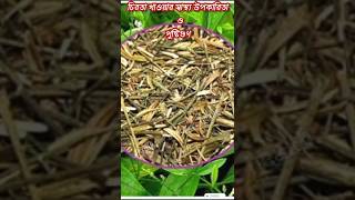 চিরতার উপকারিতা।chirata benefits in banglashorts shorthealthtips healthyfood health [upl. by Wilson]