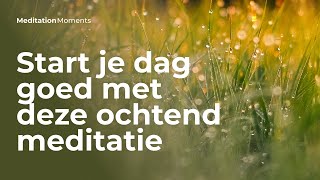 Heerlijke geleide ochtend meditatie  Michael Pilarczyk  Meditation Moments  Mindfulness [upl. by Nosila]