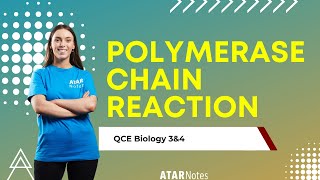 Polymerase Chain Reaction  QCE Biology 3amp4 [upl. by Datha]