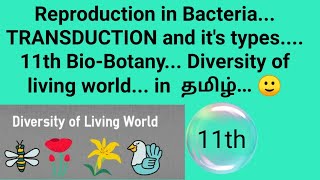 Transduction Bacteria 11th BioBotany Diversity of living world In tamil 🙂 [upl. by Cadmarr]