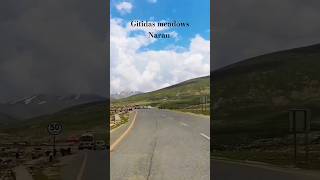 Gitidas meadows Naran  babusar pass shorts pakistan [upl. by Ainnat317]