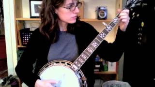 Wildwood Flower  Excerpt From the Custom Banjo Lesson from The Murphy Method [upl. by Aratak]