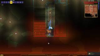 Please patch this glitch terraria 1311 a lot of platinum coins [upl. by Schroth372]