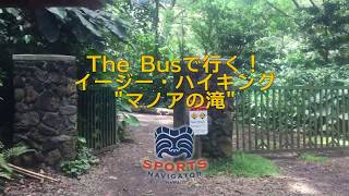 The Busで行く！イージー・ハイキング―Manoa Falls（マノアの滝）編― [upl. by Druci]