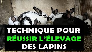 COMMENT ÉLEVER NIMPORTE QUELLE RACE DE LAPIN [upl. by Ponce]