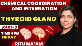 Thyroid Gland  Chemical Coordination and Integration Detailed class 03  Ritu Rattewal [upl. by Ahsyat231]